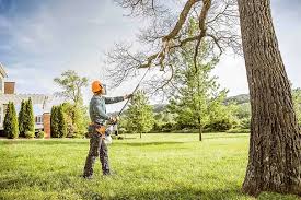 Best Tree Mulching  in Denver, PA