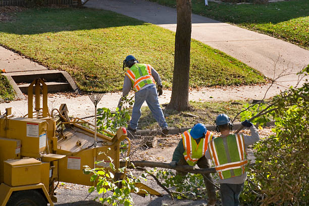 Seasonal Cleanup (Spring/Fall)